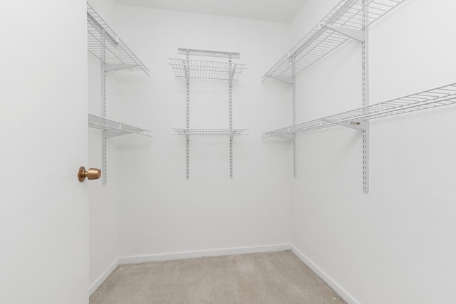 940 W Glenlake Ave Unit 24C, Chicago, IL 60660 - walk in closet with carpet