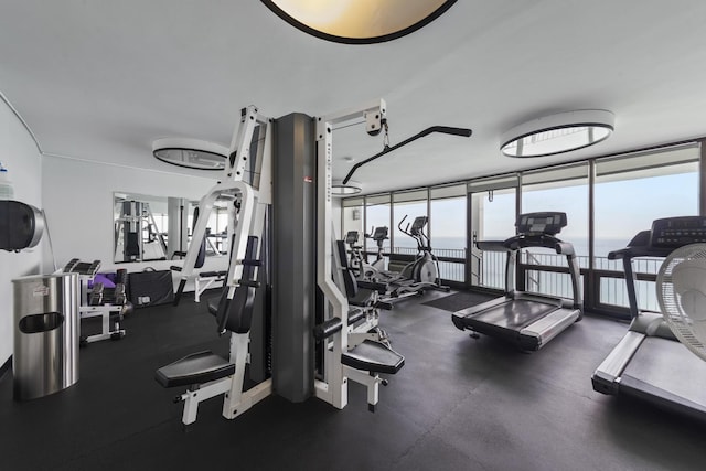 940 W Glenlake Ave Unit 24C, Chicago, IL 60660 - exercise room with a wall of windows and a water view