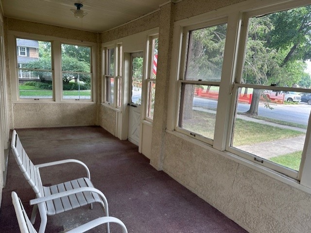154 N Fremont St, Palatine, IL 60067 - unfurnished sunroom featuring carpet floors