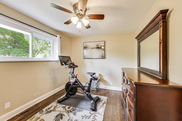 410 W Maude Ave, Arlington Heights, IL 60004 - workout room featuring dark wood-style floors and a ceiling fan