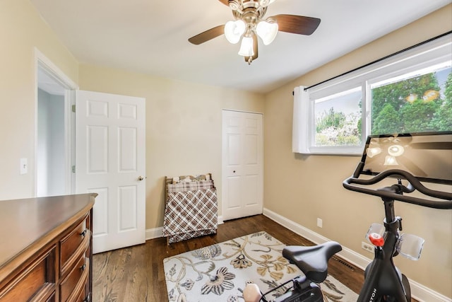 410 W Maude Ave, Arlington Heights, IL 60004 - workout room featuring dark wood-style floors and ceiling fan