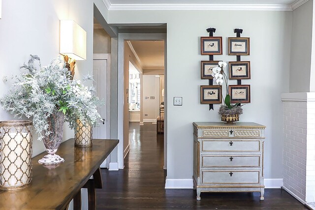 4907 Northcott Ave, Downers Grove, IL 60515 - hallway featuring dark wood-style flooring and crown molding