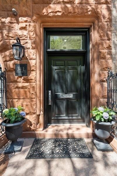 34 E Bellevue Pl, Chicago, IL 60611 - entrance to property