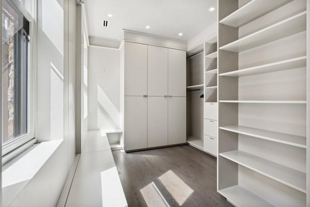 34 E Bellevue Pl, Chicago, IL 60611 - spacious closet featuring dark wood-style flooring