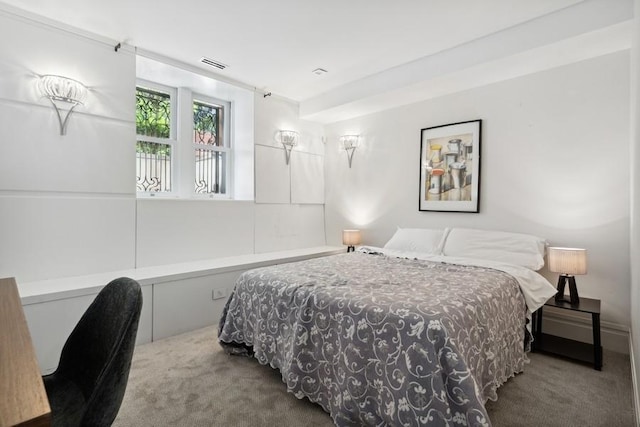 34 E Bellevue Pl, Chicago, IL 60611 - view of carpeted bedroom