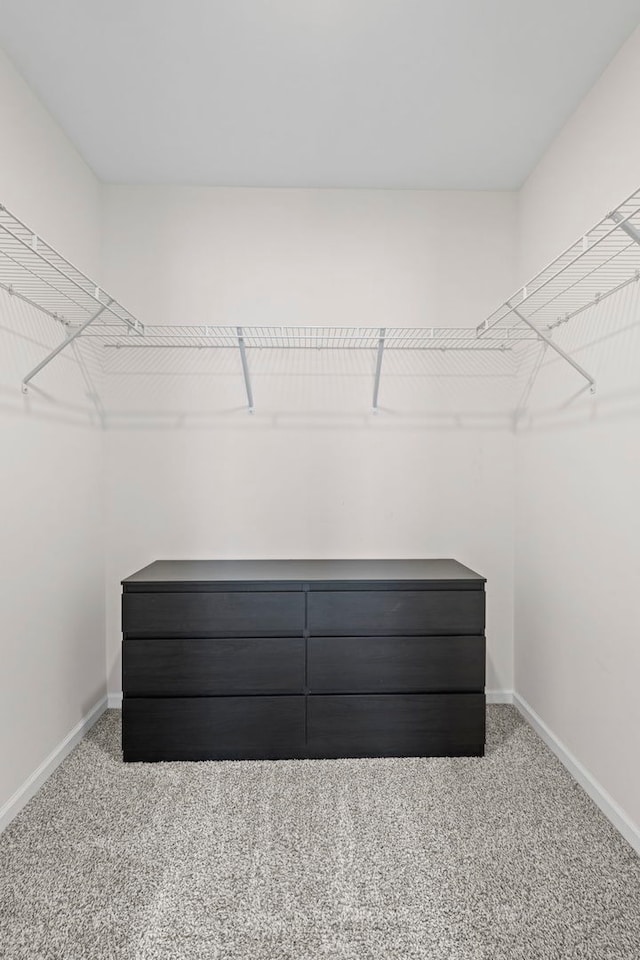 319 Brickyard Ct, Joliet, IL 60436 - spacious closet featuring carpet floors