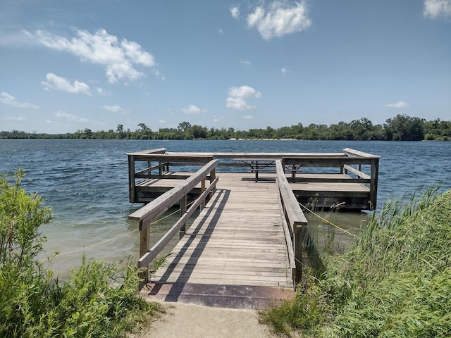 1803 Rizzi Ln, Bartlett, IL 60103 - dock with a water view
