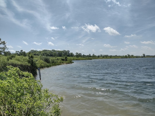 1803 Rizzi Ln, Bartlett, IL 60103 - water view