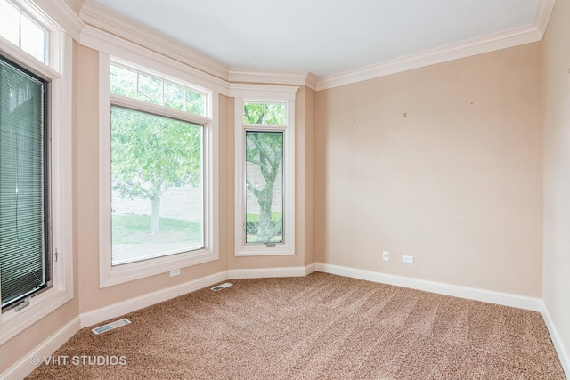 1803 Rizzi Ln, Bartlett, IL 60103 - empty room with carpet, healthy amount of natural light, and ornamental molding