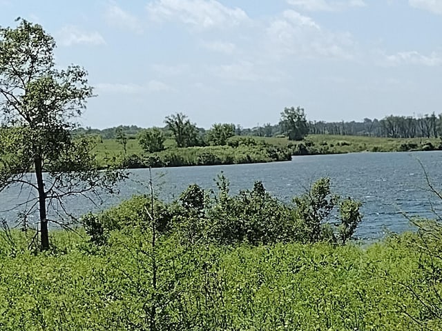 1803 Rizzi Ln, Bartlett, IL 60103 - water view