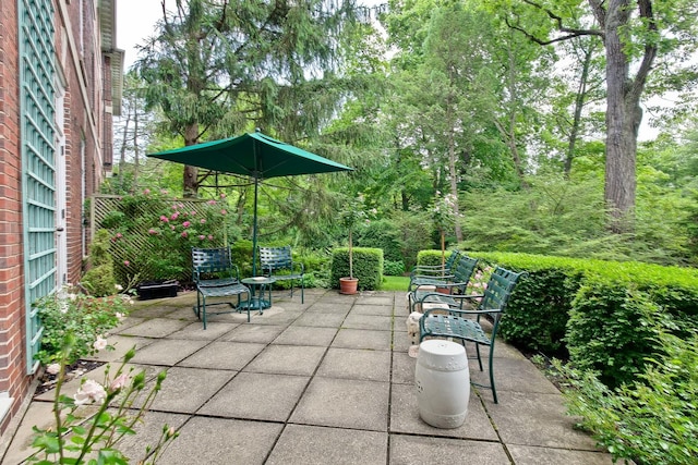 531 N Mayflower Rd Unit 531, Lake Forest, IL 60045 - view of patio / terrace