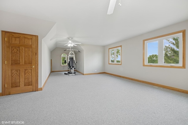 25397 N Northbridge Rd, Hawthorn Woods, IL 60047 - workout area with ceiling fan and carpet floors