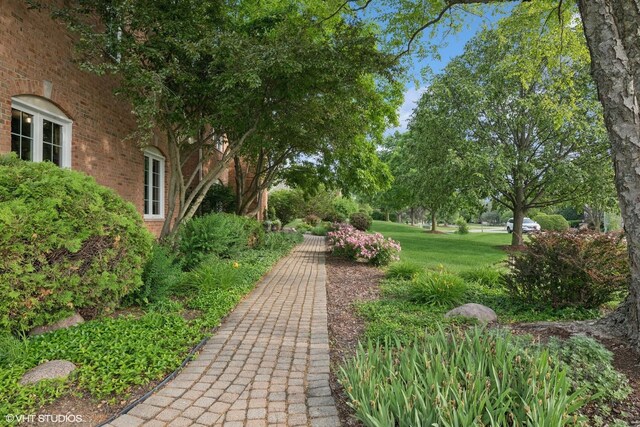 25397 N Northbridge Rd, Hawthorn Woods, IL 60047 - surrounding community