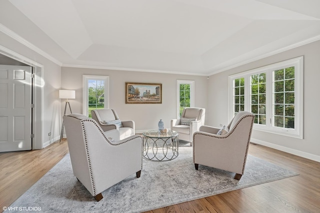 25397 N Northbridge Rd, Hawthorn Woods, IL 60047 - living room with a tray ceiling, light wood-style flooring, and crown molding