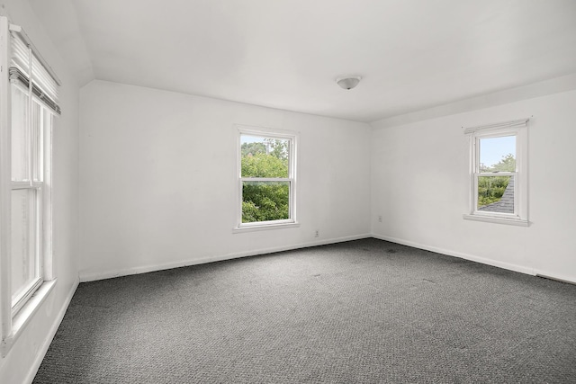 554 W Station St, Kankakee, IL 60901 - carpeted empty room with plenty of natural light and lofted ceiling