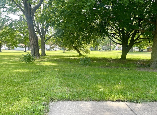 1660 Laharpe St, Lasalle, IL 61301 - view of green lawn