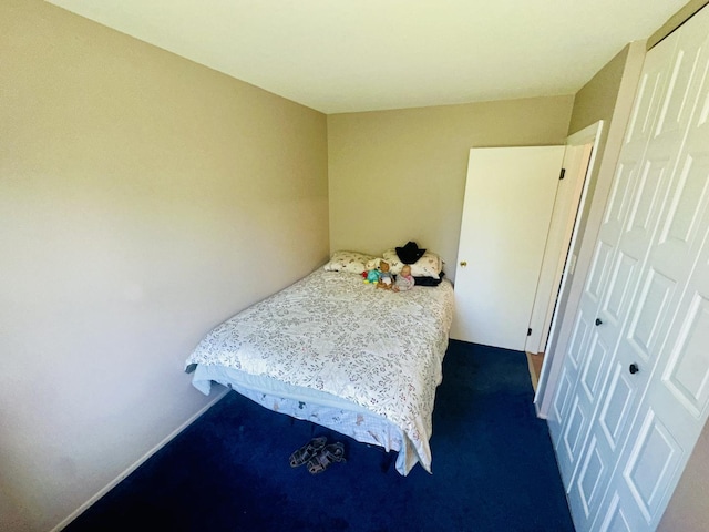 1015 Hastings Ln, Hanover Park, IL 60133 - bedroom with dark carpet and a closet