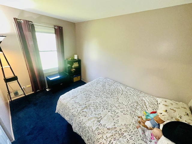 1015 Hastings Ln, Hanover Park, IL 60133 - bedroom featuring carpet and baseboards