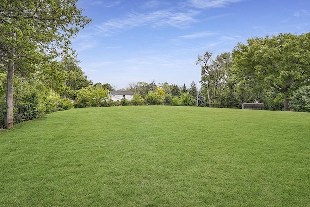 8081 Tennessee Ave, Willowbrook, IL 60527 - view of grassy yard