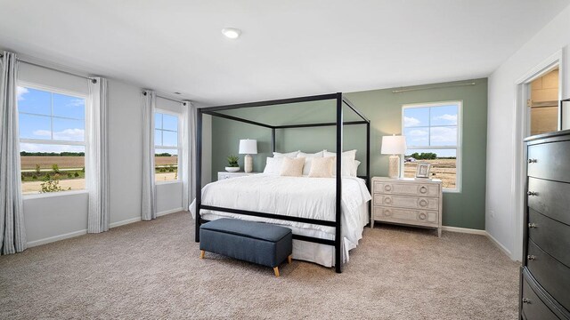1818 Legacy Pointe Blvd, Plainfield, IL 60586 - bedroom featuring light colored carpet and baseboards