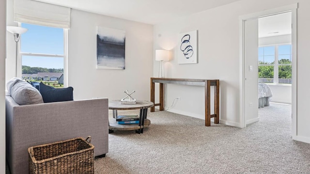 1818 Legacy Pointe Blvd, Plainfield, IL 60586 - living area featuring carpet floors and baseboards