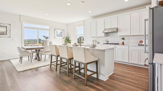 1818 Legacy Pointe Blvd, Plainfield, IL 60586 - kitchen featuring under cabinet range hood, freestanding refrigerator, plenty of natural light, dark wood-style floors, and recessed lighting