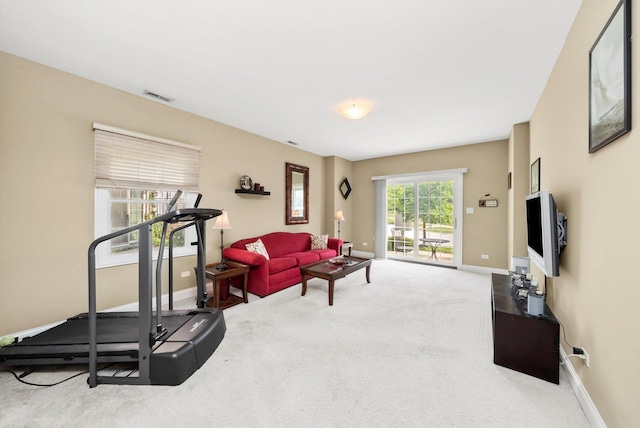 17946 Fountain Cir, Orland Park, IL 60467 - workout room featuring carpet and baseboards