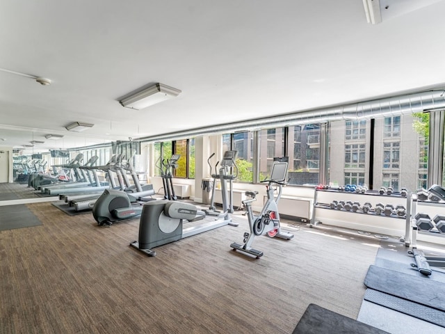 2754 N Hampden Ct Unit 1003, Chicago, IL 60614 - workout area featuring carpet floors
