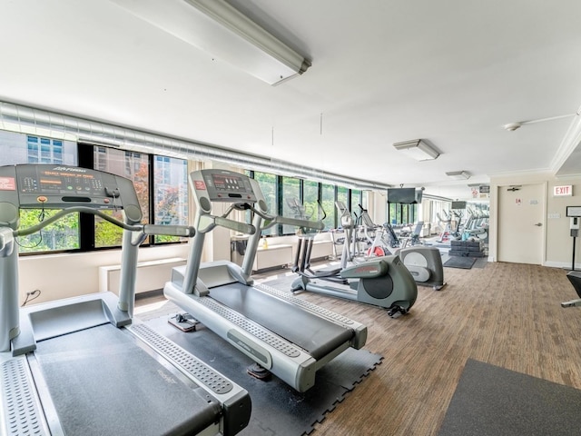 2754 N Hampden Ct Unit 1003, Chicago, IL 60614 - view of exercise room