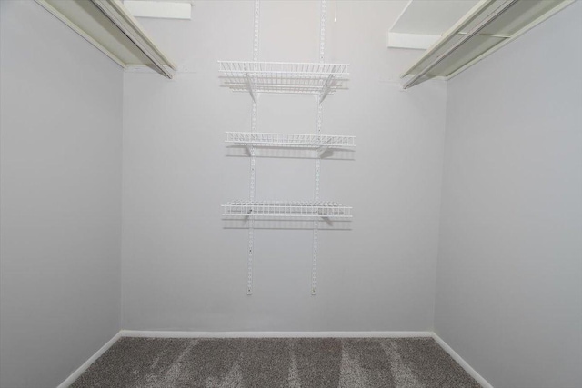 974 Thornton Ln Unit 107, Buffalo Grove, IL 60089 - walk in closet featuring carpet