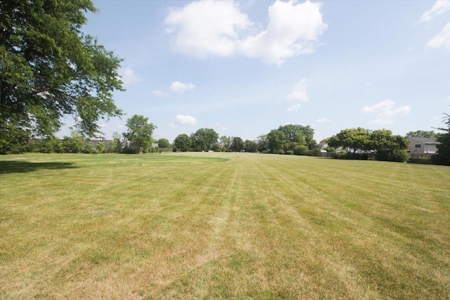 974 Thornton Ln Unit 107, Buffalo Grove, IL 60089 - view of grassy yard