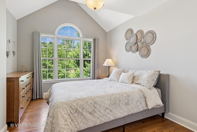 33 Citation Cir, Wheaton, IL 60189 - bedroom with wood finished floors and vaulted ceiling