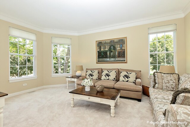 6805 Burning Tree Cir, Mchenry, IL 60050 - photo 16