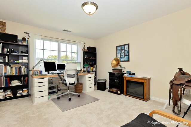 6805 Burning Tree Cir, Mchenry, IL 60050 - photo 38
