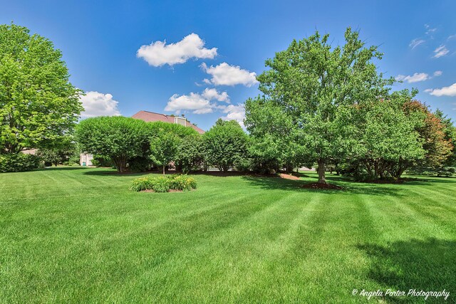 6805 Burning Tree Cir, Mchenry, IL 60050 - photo 46