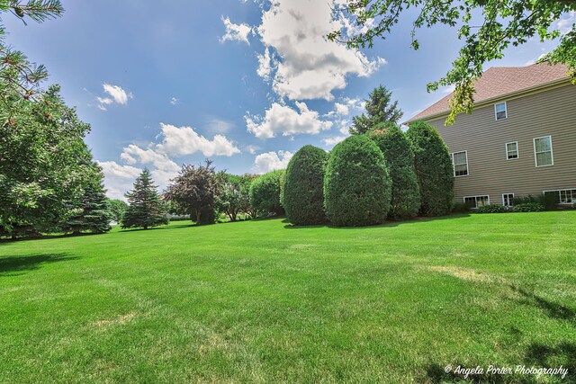 6805 Burning Tree Cir, Mchenry, IL 60050 - photo 47