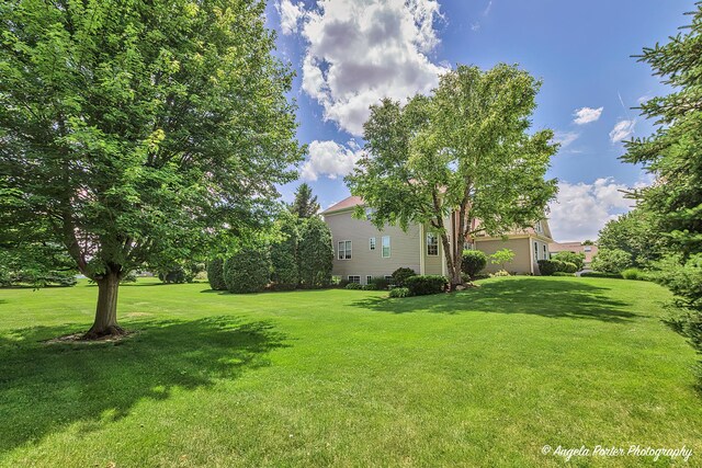 6805 Burning Tree Cir, Mchenry, IL 60050 - photo 48