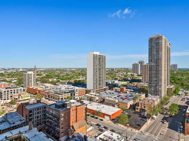 1560 N Sandburg Ter Unit 2403J, Chicago, IL 60610 - city view