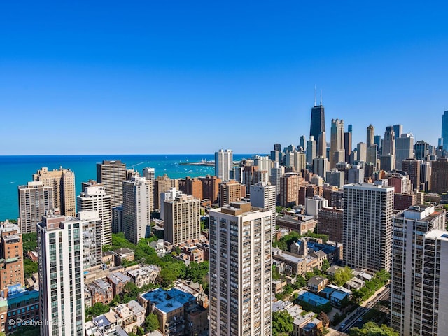 1560 N Sandburg Ter Unit 2403J, Chicago, IL 60610 - skyline view featuring a nearby body of water