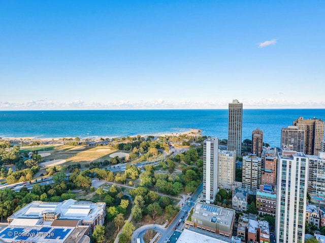 1560 N Sandburg Ter Unit 2403J, Chicago, IL 60610 - view of urban area featuring a large body of water