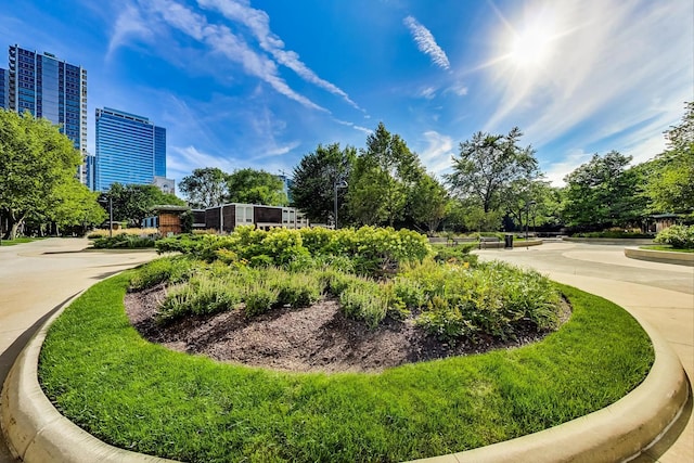 1560 N Sandburg Ter Unit 2403J, Chicago, IL 60610 - surrounding community featuring view of scattered trees
