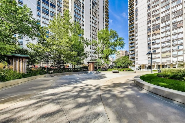 1560 N Sandburg Ter Unit 2403J, Chicago, IL 60610 - view of property's community