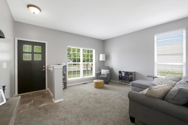 10628 Great Plaines Dr, Huntley, IL 60142 - living area with carpet flooring and baseboards