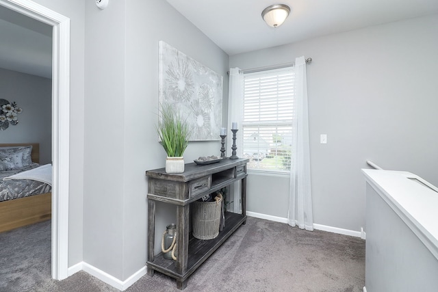 1307 Colaric Dr, Joliet, IL 60431 - office space with carpet and baseboards
