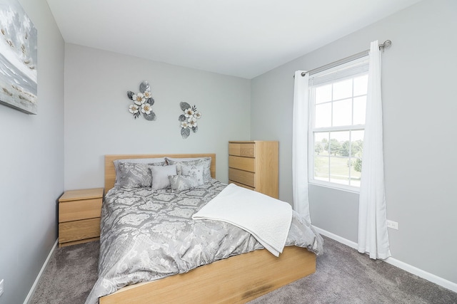 1307 Colaric Dr, Joliet, IL 60431 - carpeted bedroom with baseboards