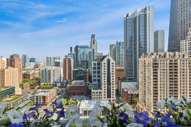 25 E Superior St Unit 2402, Chicago, IL 60611 - skyline view