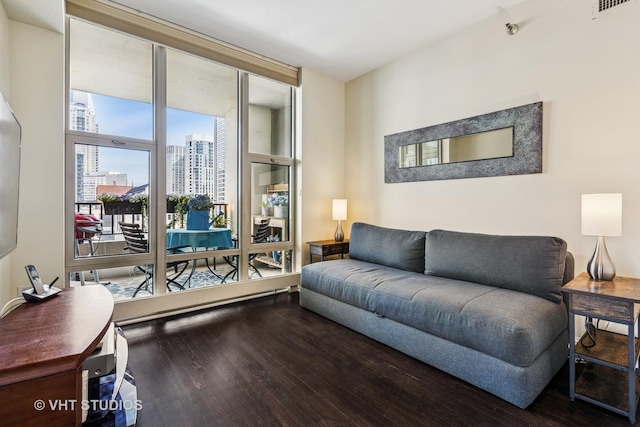 25 E Superior St Unit 2402, Chicago, IL 60611 - living room featuring wood finished floors and a city view