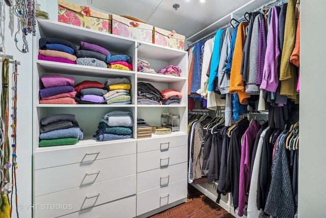 25 E Superior St Unit 2402, Chicago, IL 60611 - spacious closet featuring wood finished floors
