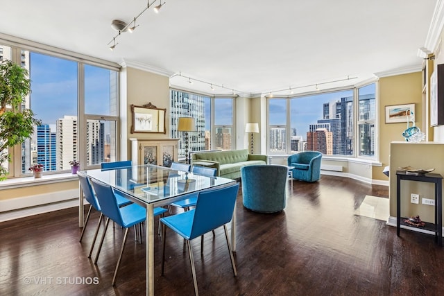 25 E Superior St Unit 2402, Chicago, IL 60611 - dining area with track lighting, ornamental molding, wood finished floors, a city view, and healthy amount of natural light