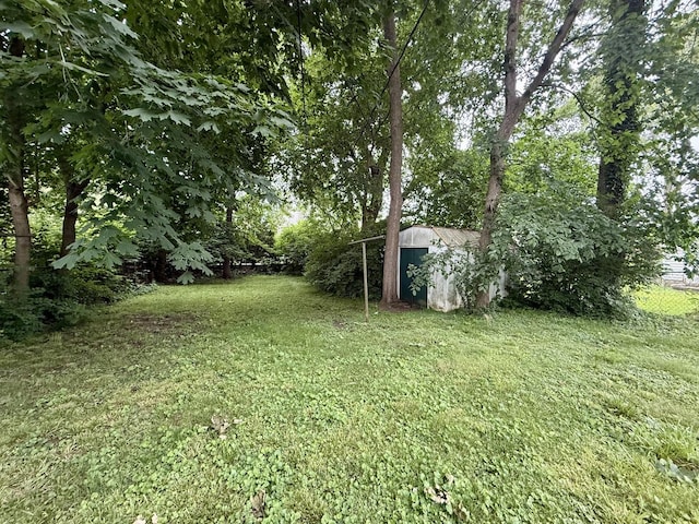 505 N Fair St, Champaign, IL 61821 - view of green lawn featuring a storage shed